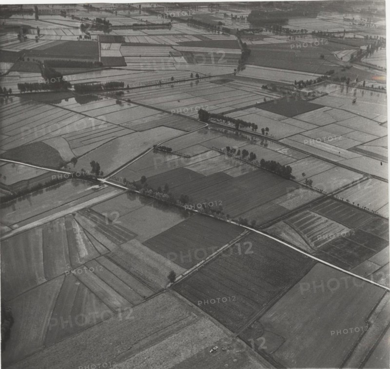 Paddy fields in Vercelli
