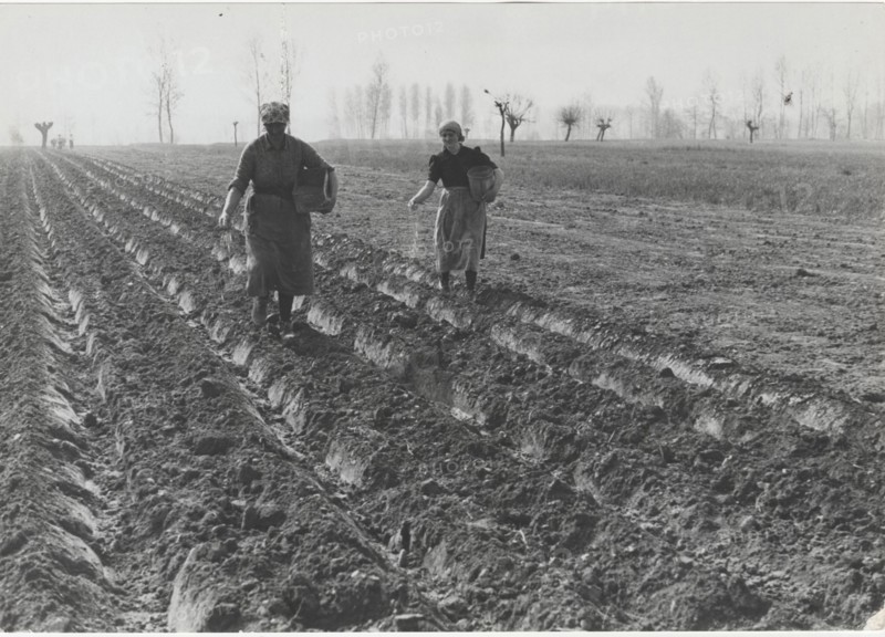 Planting season