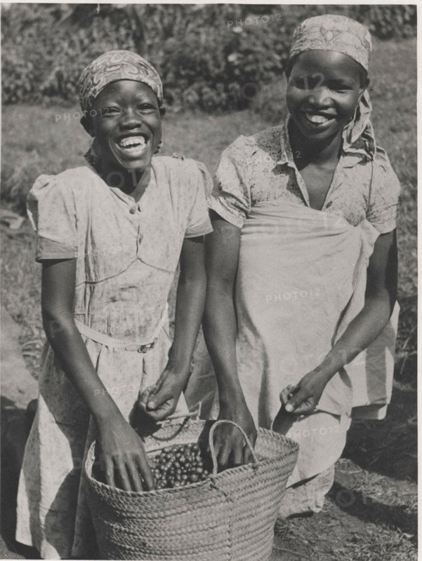 Coffee pickers