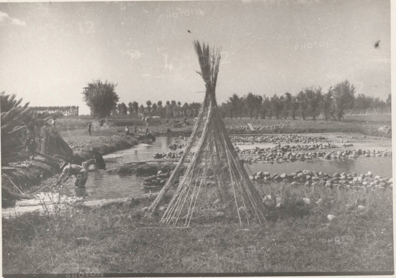 Hemp maceration