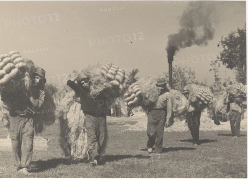 Hemp cultivation