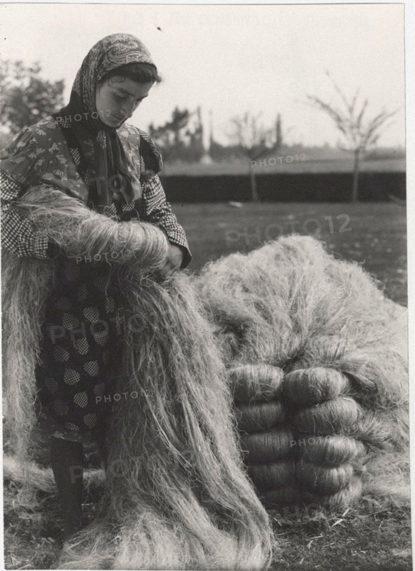Hemp processing
