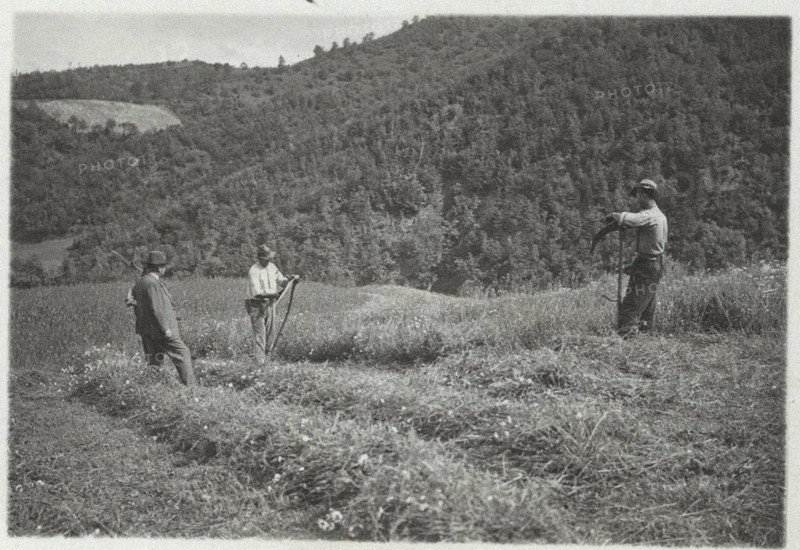 Grass mowing