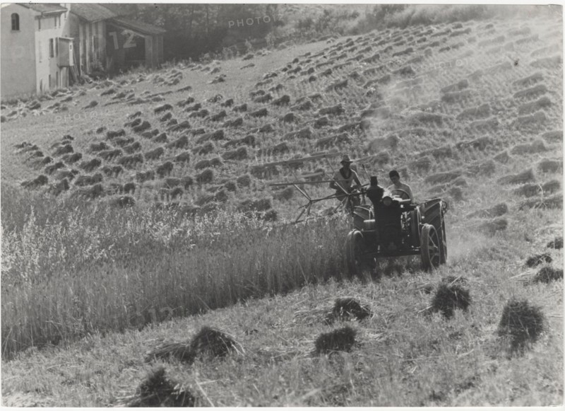 Harvesting