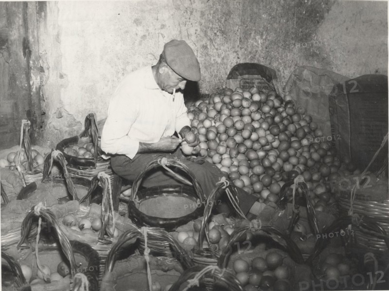 Lemon warehouse in Acireale, Sicily.