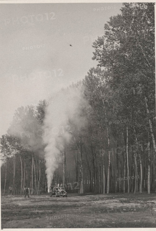 Poplar groves use of pesticides with atomizers