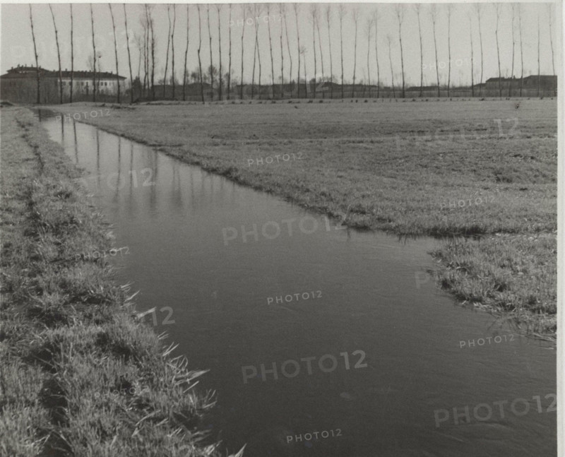A ditch irrigating a field