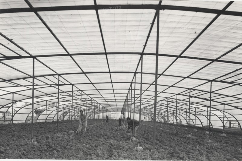 Greenhouse made with plastic materials