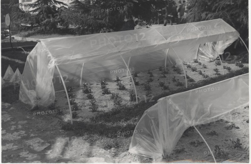 Greenhouse made with plastic materials