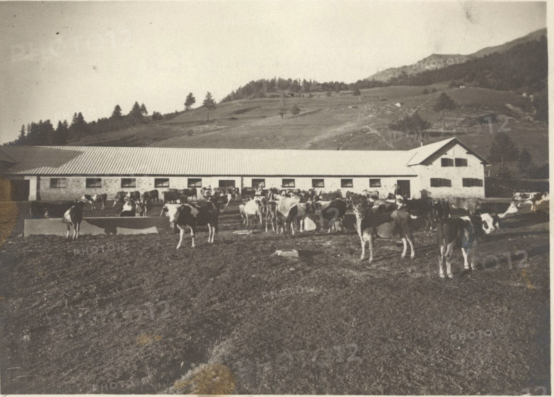 Experimental Mountain pasture the stable