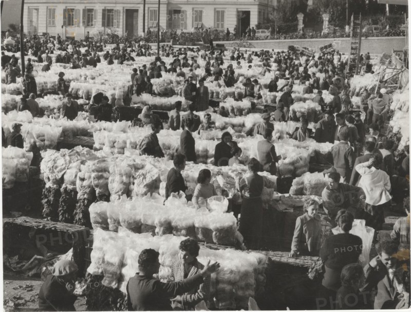 Flower market in Sanremo