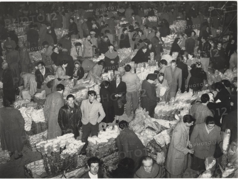 Flower market in Sanremo