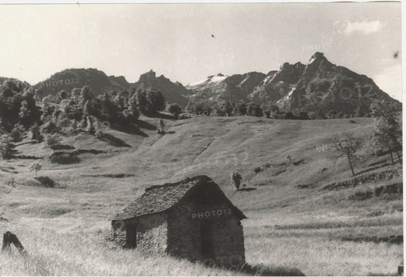 Mountain pasture
