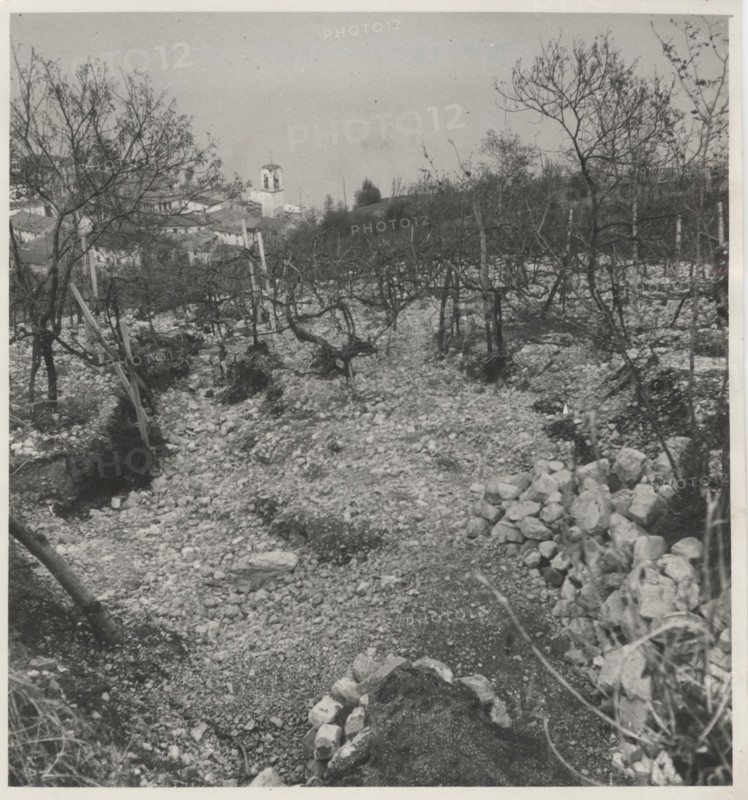 Alluvial landslide