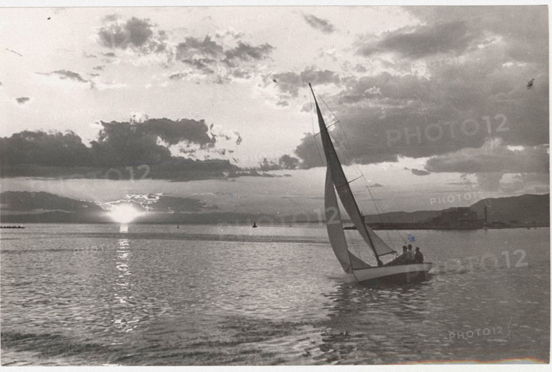 Gulf of Trieste