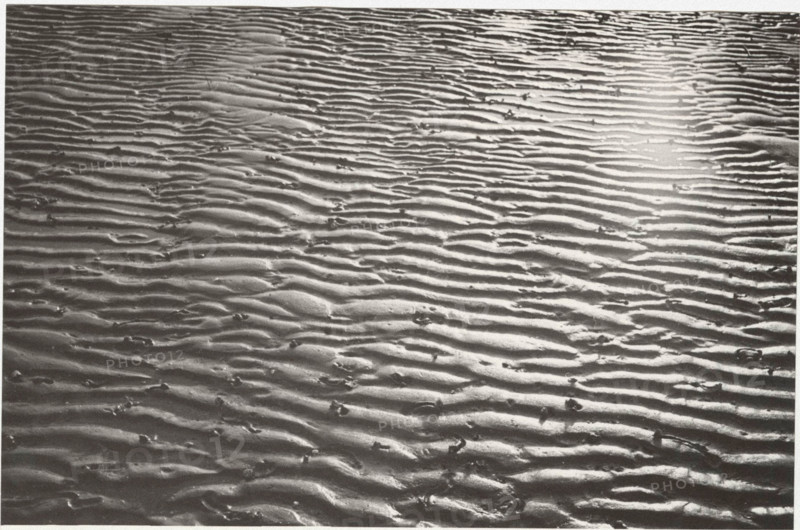 Low tide on Marina di Ravenna beach