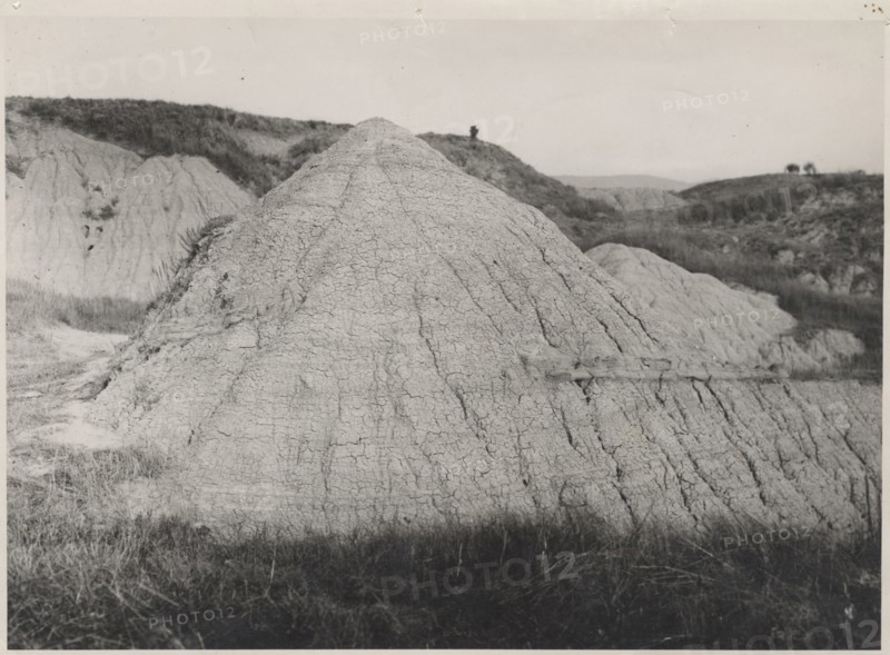 Pliocene clays