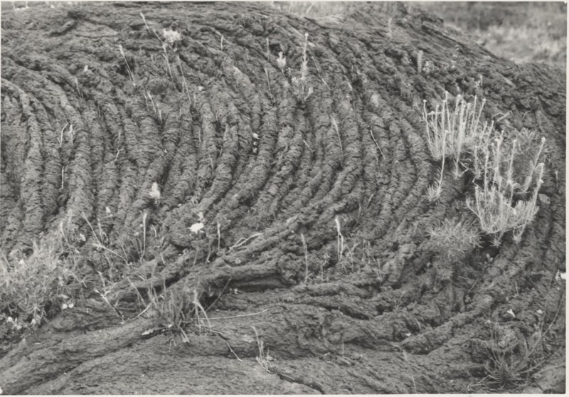 Lava flow on Vesuvius slopes