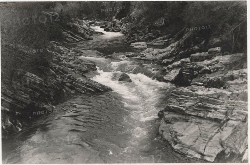 Nummulitic limestones
