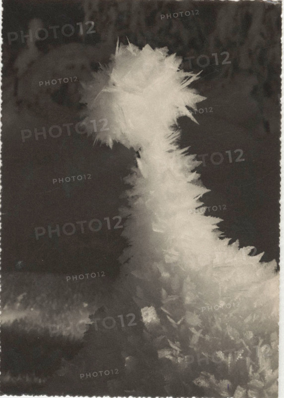 Frost