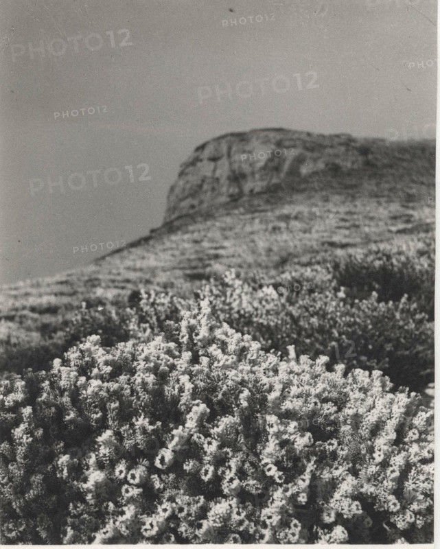 Frost on Monte Nevoso