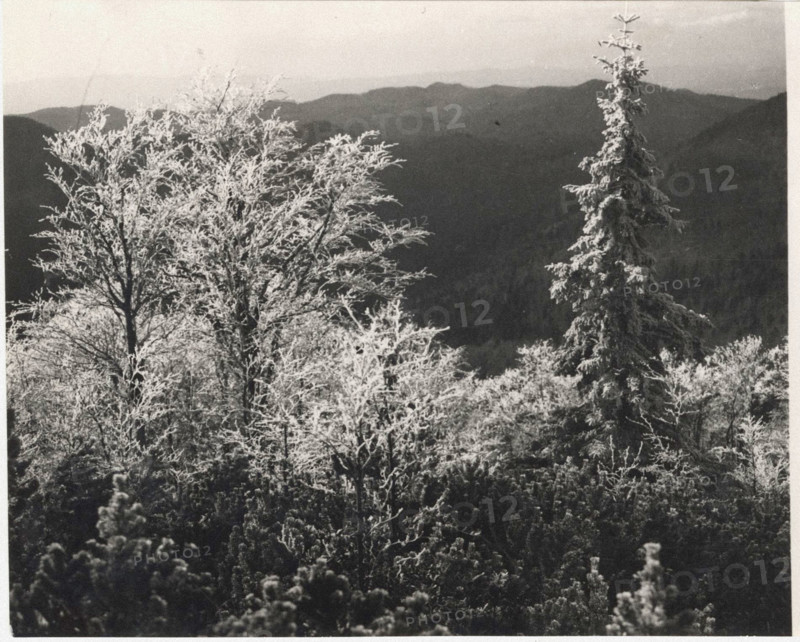 Frost on Monte Nevoso