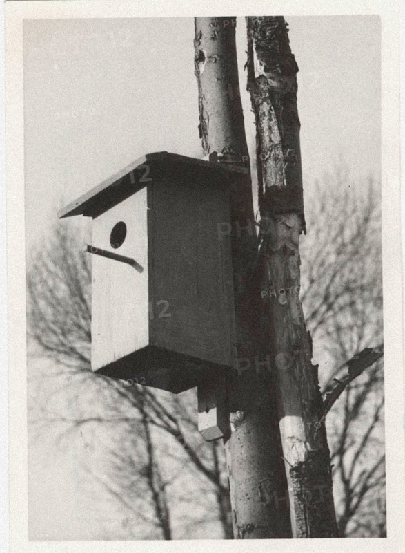 A net box