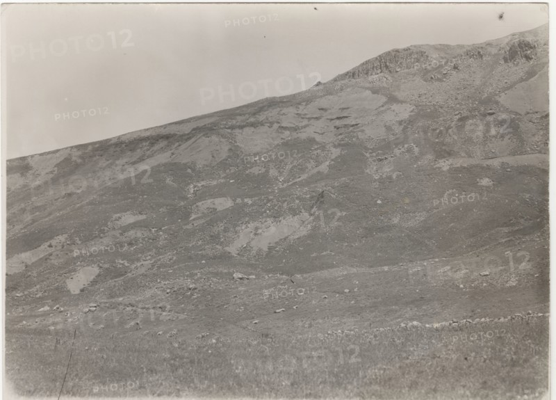 Petralia Sottana, the fields after deforestation works