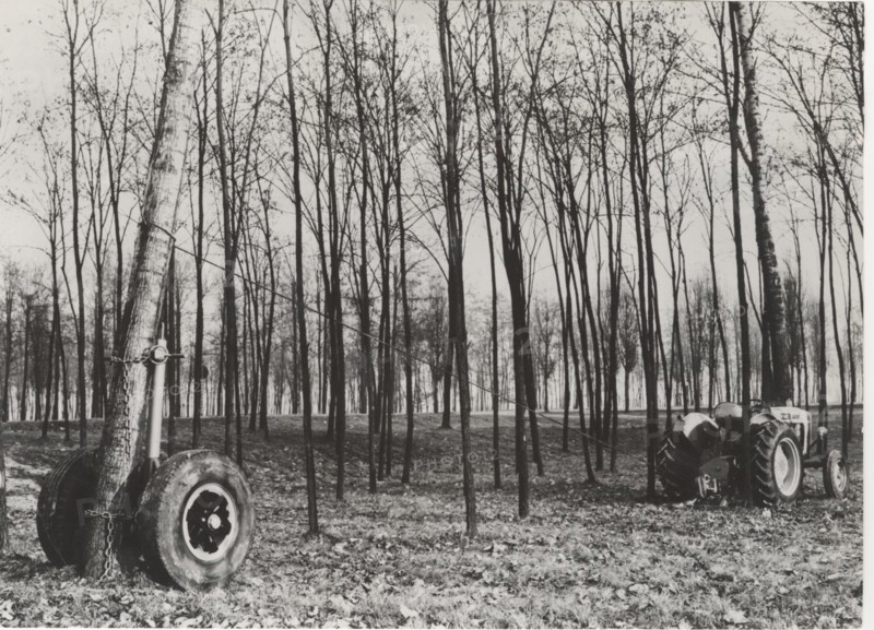 Deforestation with a cradle truck