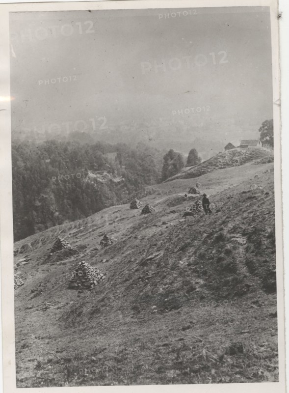 Land reclamation works the removal of stones and grit from a mountain pasture