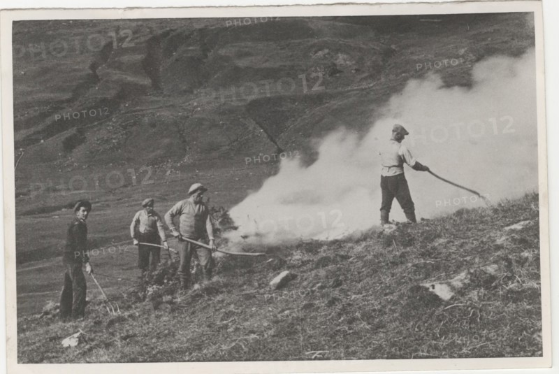 Land reclamation works deforesting a mountain pasture