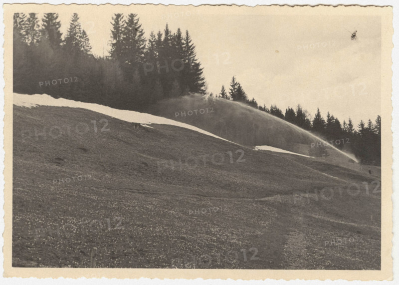Fertigation causes the snow to melt and destroys the moss