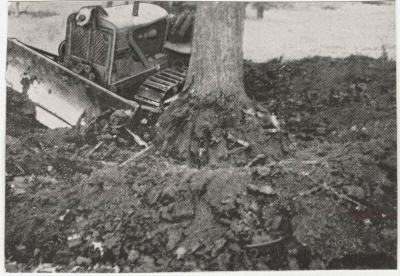 Reforestation works the socalled groana soil in Tradate, Italy