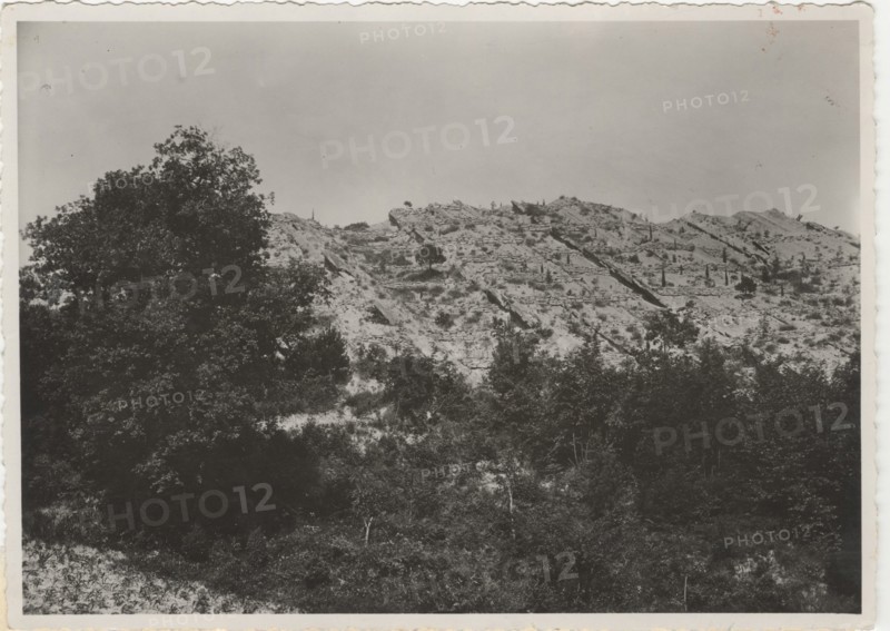 Mount Puccio reforestation works