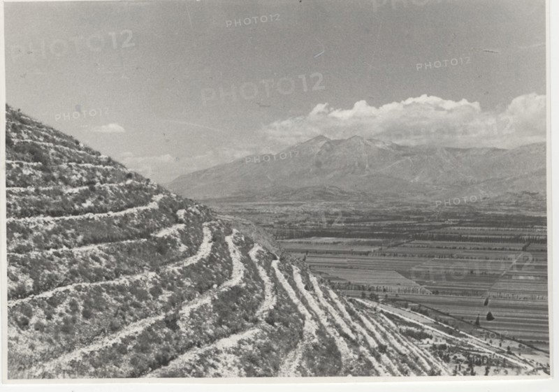 Luco dei Marsi reforestation