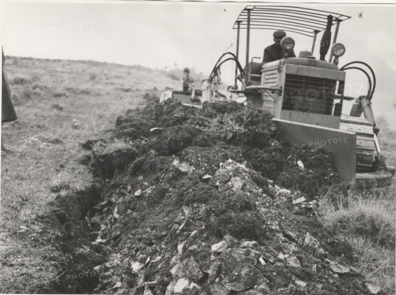 Reforestation a tractor machine preparing the field