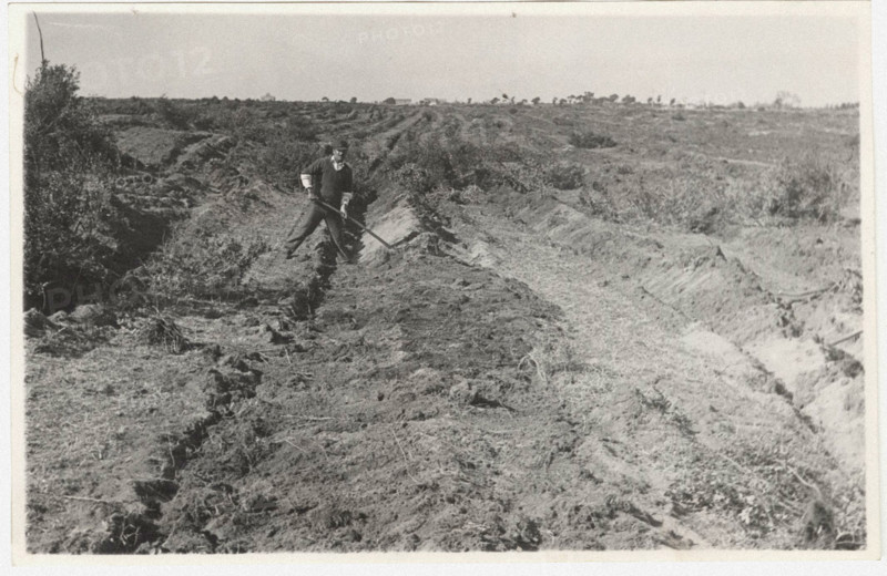 Reforestation works