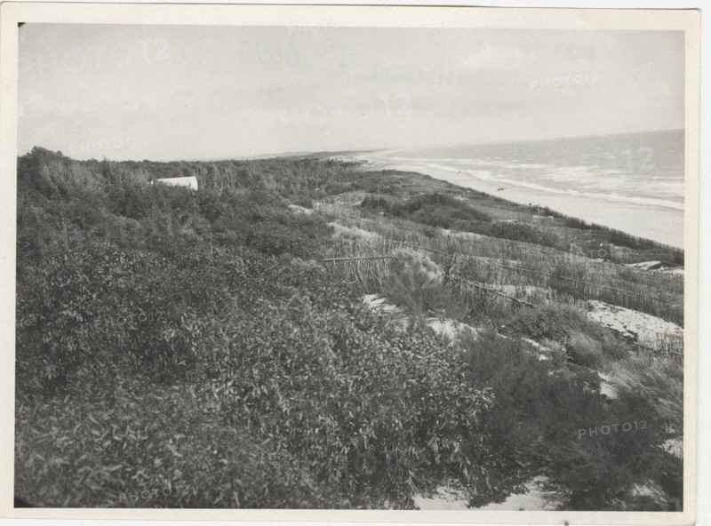 Dune fixation works. Siracusa, Sicily, Italy