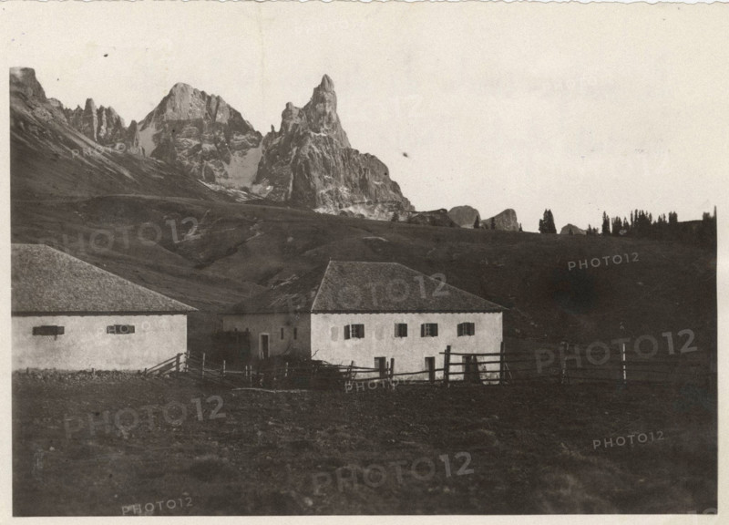 Alpine Pasture in Juribello, Passo Rolle, Italy,