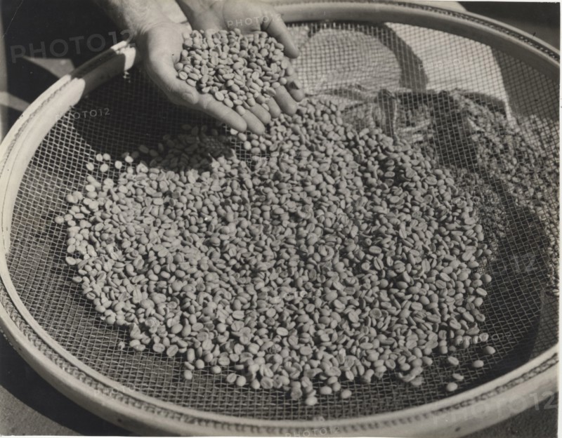Coffee beans