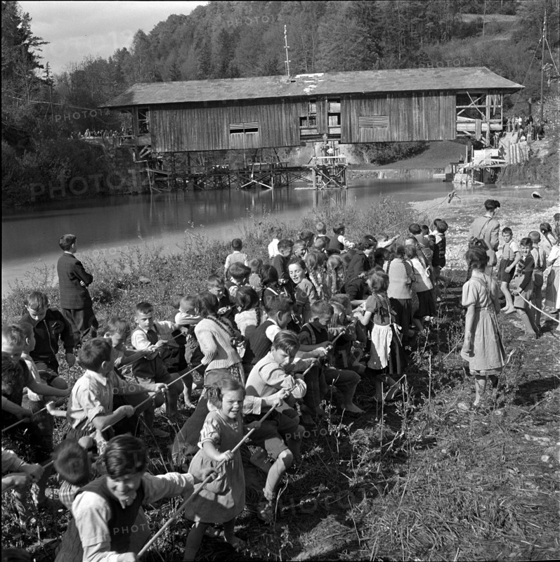 Children helping to displace an old wooden bridge; 1952.
