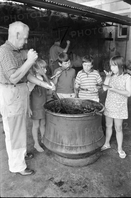 Kirschmueset in Wimmis 1970; Children try the pulp.