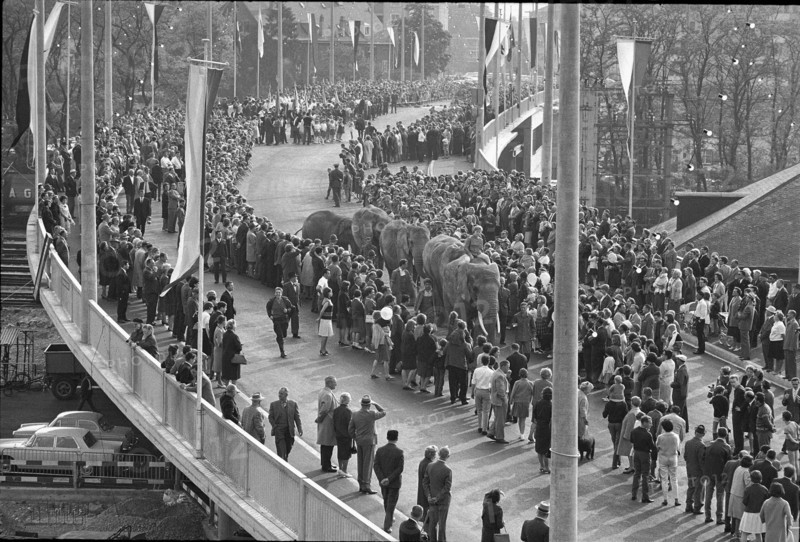 Basle, procession, inauguration of Luzernerring bridge; 1965.