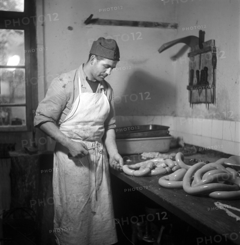 Medical orderly, assignment in civilian professions, butcher; 1939.