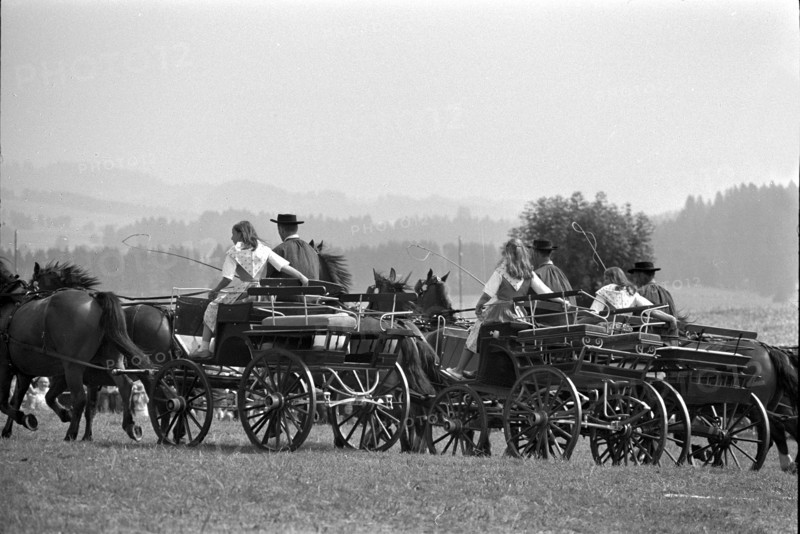 66th Marche-Concours Saignelegier, 1969.