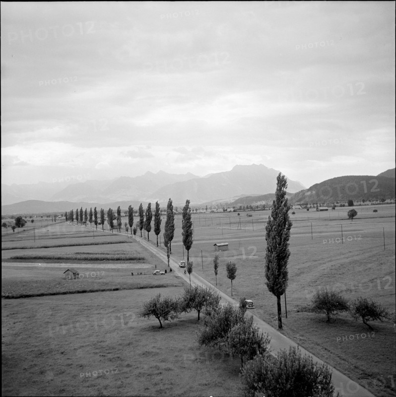 Rheintal near Altstatten, 1954.