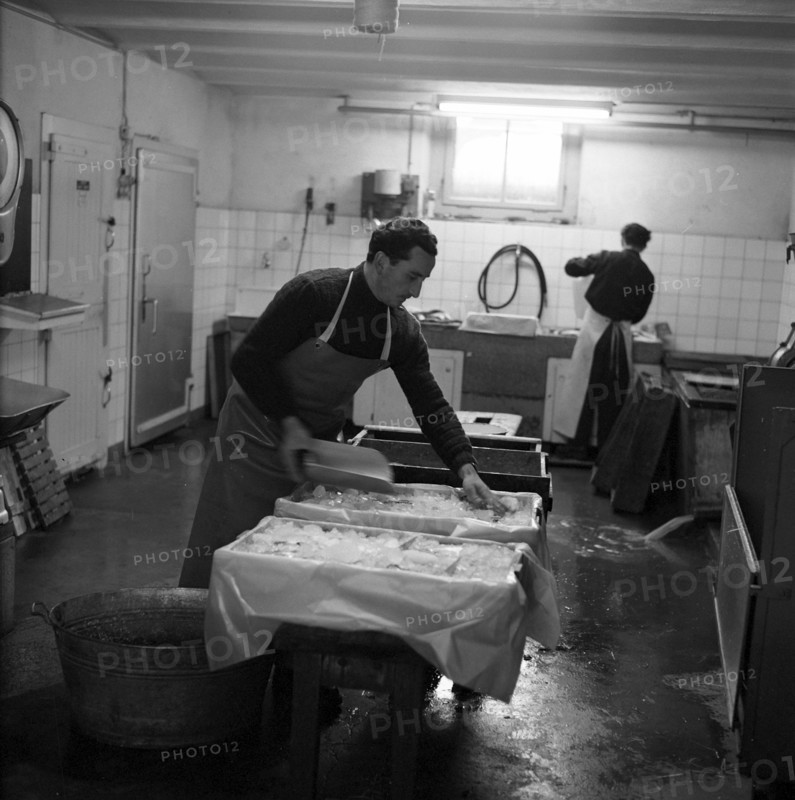 Preparing whitefish at the Lake Constance, 1957.