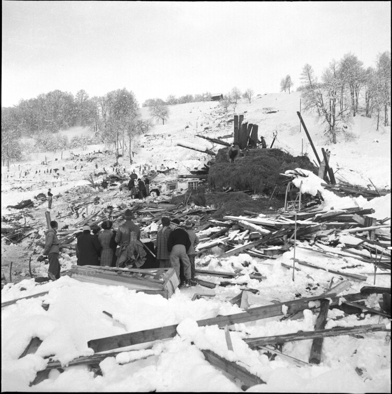 Avalanche in the Montafon valley, clearing work; 1954.