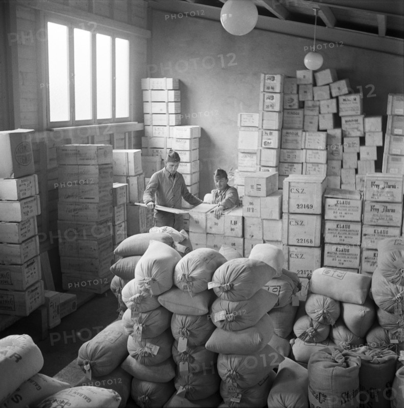 Medical orderly working in military kitchen; storeroom; 1940.
