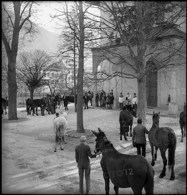Blessing of the horses and mules in Valais village Turtmann, 1940.